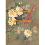 Delicate Flowers & Bird  - XBCH55  -  PRINT