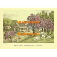American Homestead Spring  - XBCI-1  -  PRINT
