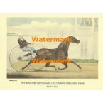 The Celebrated Trotting Mare LUCY, Passing the Judges Stand  - XBCI-19  -  PRINT
