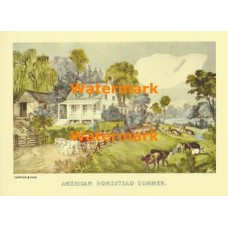 American Homestead Summer  - XBCI-2  -  PRINT