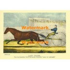 Lady Thorn  - XBCI-20  -  PRINT