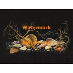 Nighttime Seashells  - #XBDE103  -  PRINT