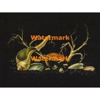 Nighttime Seashells  - #XBDE105  -  PRINT