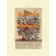 Flowers of the Month:  July  - XBFL118  -  PRINT