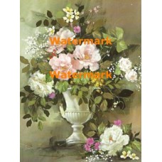 Soft Pink  - XBFL1705  -  PRINT