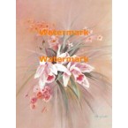 Orchids  - XBFL1937  -  PRINT