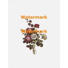 Bouquet  - XBFL29  -  PRINT