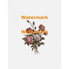 Bouquet  - XBFL30  -  PRINT
