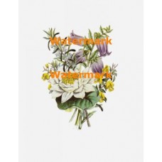 Flowers  - XBFL65  -  PRINT