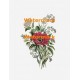 Flowers  - XBFL67  -  PRINT