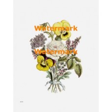 Flowers  - XBFL68  -  PRINT