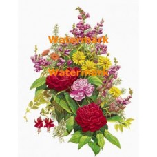 Wild Bouquet  - XBFL895  -  PRINT