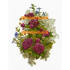 Rose Bouquet  - XBFL896  -  PRINT