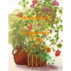 Plants  - XBFL920  -  PRINT