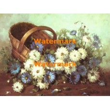 Spilling Out  - XBFL949  -  PRINT