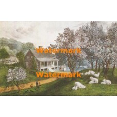 American Homestead Spring  - XKBF1087  -  PRINT