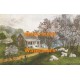 American Homestead Spring  - XKBF1087  -  PRINT