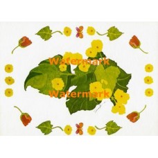 Yellow Flowers  - XKF1105  -  PRINT