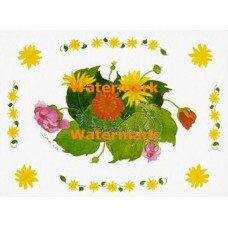 Flowers  - XKF1106  -  PRINT