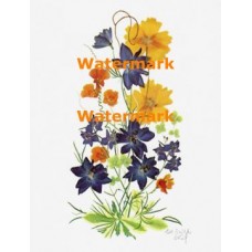 Blue Pressed Flowers  - XKF1834  -  PRINT