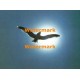 Gliding Gull  - XKF2013  -  PRINT 