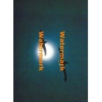 Soaring Gulls  - XKF2014  -  PRINT 