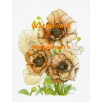 Tender Poppies  - XKF4524  -  PRINT