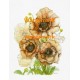 Tender Poppies  - XKF4524  -  PRINT