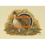 Ruffed Grouse  - XKF5172  -  PRINT 