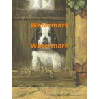 Pup  - #XS10654  -  PRINT