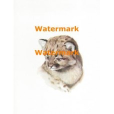Wildlife  - XS1103  -  PRINT