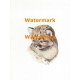 Wildlife  - XS1103  -  PRINT