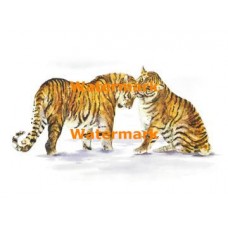 Tigers  - XS1104  -  PRINT