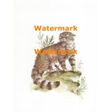 Wildlife  - XS1105  -  PRINT