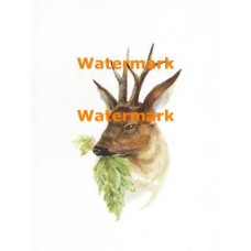 Deer  - XS1106  -  PRINT