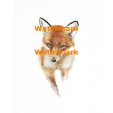 Fox  - XS1107  -  PRINT