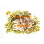 Bunnies  - XS1234  -  PRINT