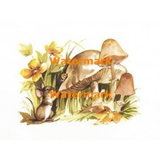Mouse, Snail, & Mushroom  - XS1237  -  PRINT