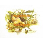 Duckling & Turtle  - XS1238  -  PRINT