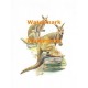 Kangaroos  - XS2504  -  PRINT