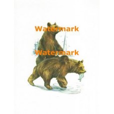 Bears  - XS2506  -  PRINT