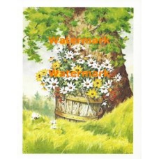 Summer's Daisies  - XS2672  -  PRINT