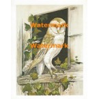 Owl at Window  - XS3673  -  PRINT