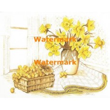 Grapes  - XS4720  -  PRINT