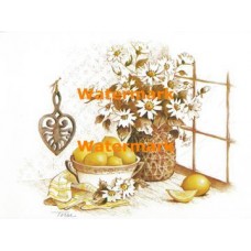 Lemons  - #XS4721  -  PRINT 