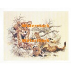 Cubs  - XS5207  -  PRINT