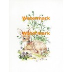 Fawn  - XS5215  -  PRINT