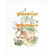 Fawn  - XS5215  -  PRINT