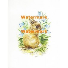 Springtime Bunny  - XS5217  -  PRINT