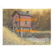 Golden Sun  - XS5301  -  PRINT